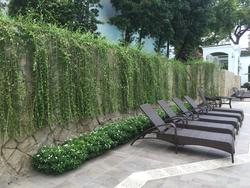 Tanglin Park (D10), Condominium #98292742